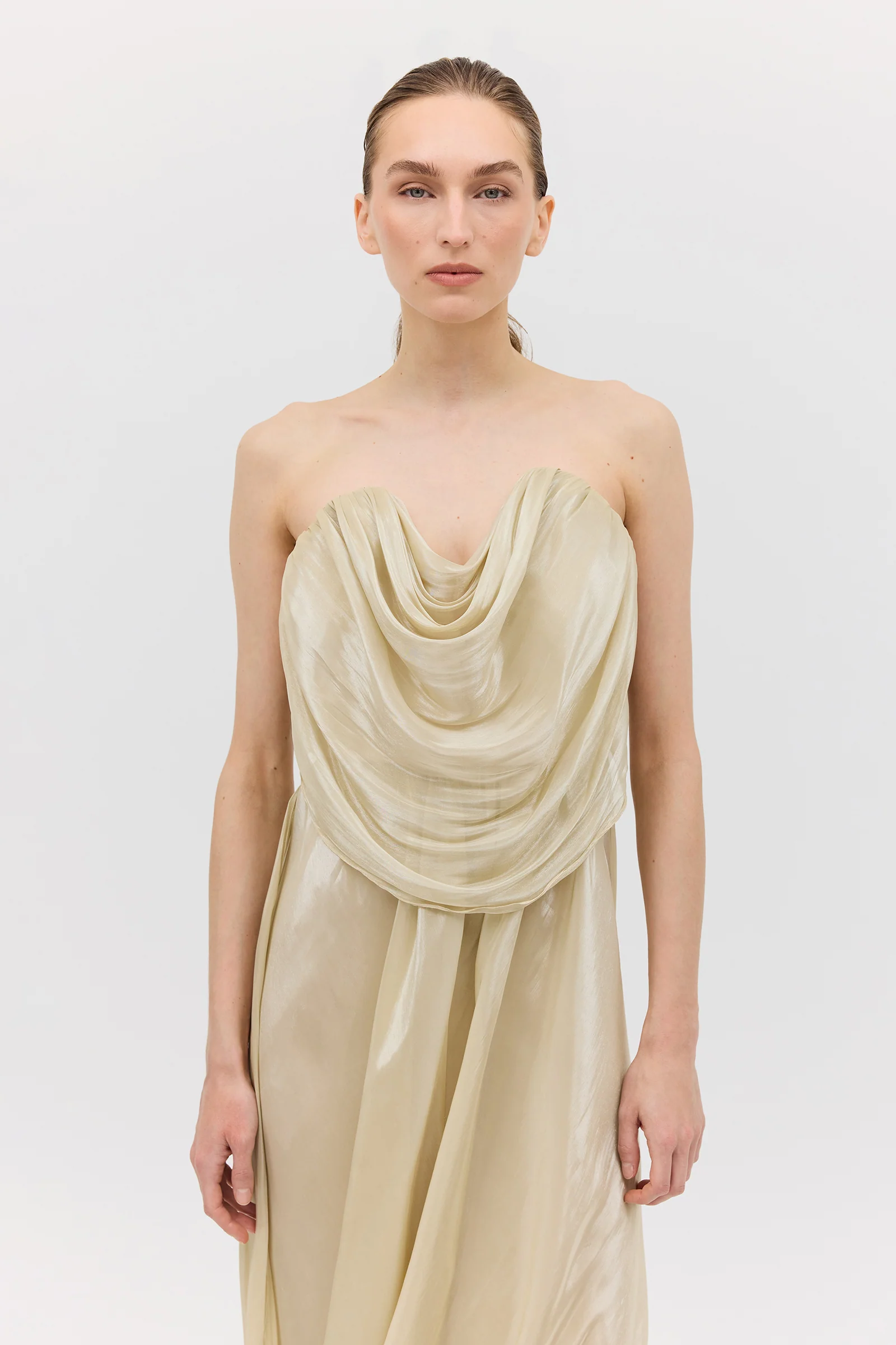 CHAMPAGNE LIQUID ORGANZA TIDAL BUSTIER DRESS - Image 2